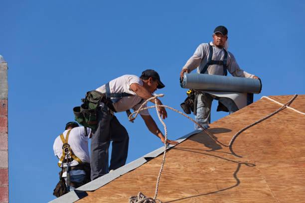 Best Best Roofing Contractors  in Hillview, KY